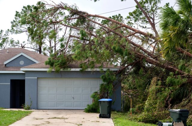 A fallen tree on a garage roof after a storm.
