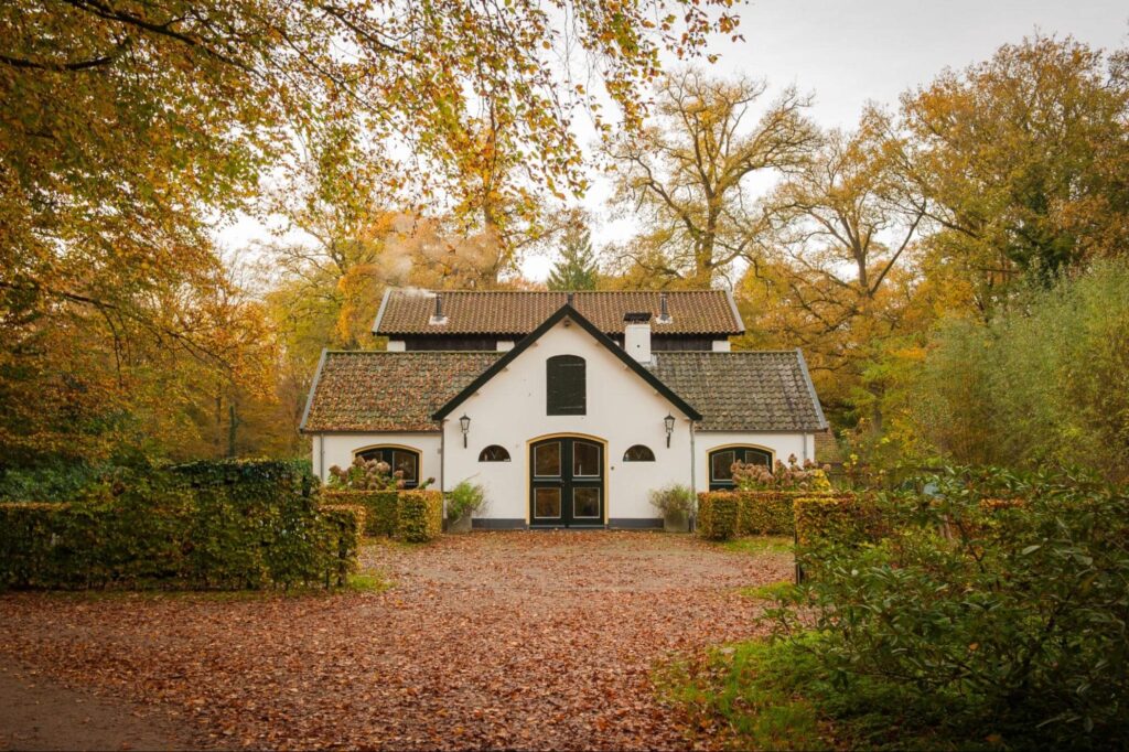 A home that sits in the middle of the woods, with lots of natural browns and greens